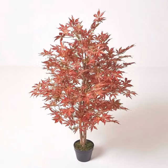 Homescapes Red Acer Tree in Pot, Height: 120 cm