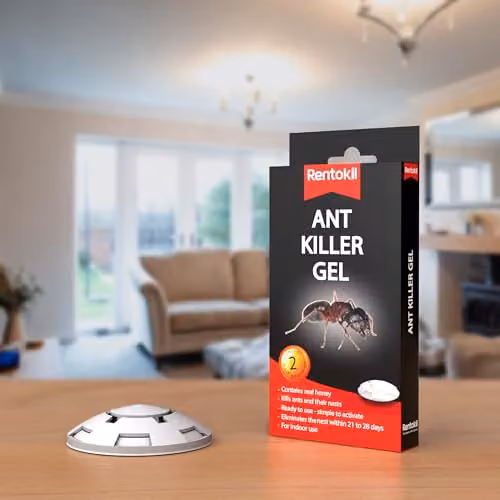 Rentokil RKLFA105 Ant Killer Gel Twin Pack Transparent – 3
