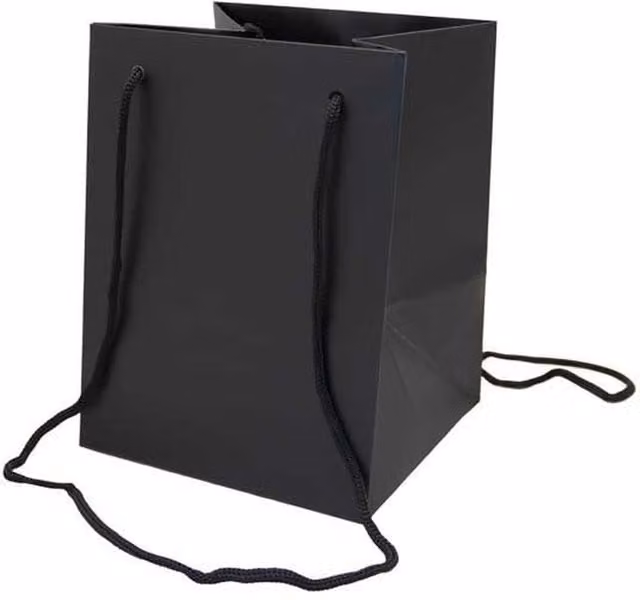 Kingsbury Gifts Black Paper Hand Tie Gift Bag, H: 25 cm