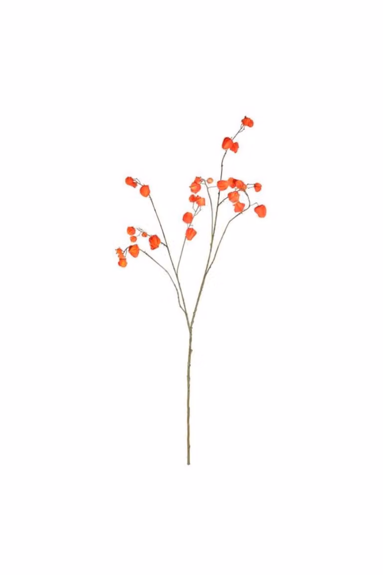 KDMD Botanica Orange Fruit Branch Artificial Green Plant, Height: 123 cm