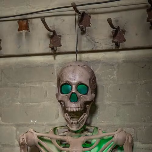 Samuel ALEXANDER Battery Powered Light Up Halloween Skeleton with Poseable Joints and Green LEDs, Height: 152 cm – 2
