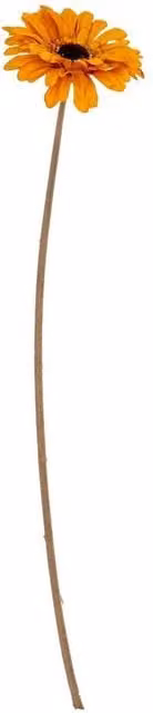 Lemon Pavilion Furniture and Decor Orange Gerbera Artificial Flower Stem, W11 x D11 x H53 cm