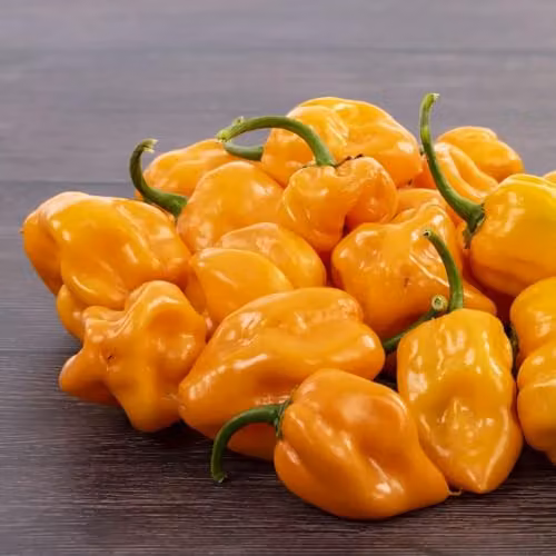 Thompson & Morgan Scotch Bonnet Orange Chilli Pepper Seeds, 10 Seeds per Packet