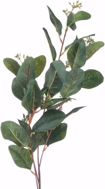 Lemon Pavilion Furniture and Decor Green Summer Seeded Eucalyptus Artificial Plant, W25 x D13 x H80 cm