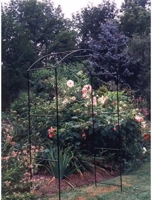 Poppyforge Monet Freestanding Metal Garden Arch for Climbers, Black, H: 213.4 cm x W: 152.4 cm