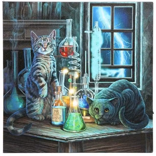Lisa Parker Jekyll and Hyde Light Up LED Canvas in Black, Multicolour and Turquoise, W/H: 30.0 x 30.0 cm – 2