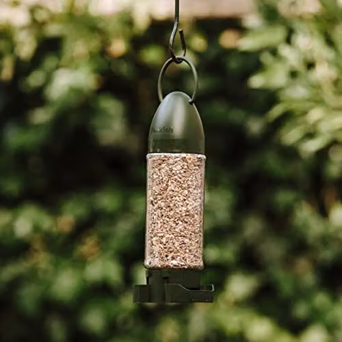 Peckish Complete Wild Bird Seed Ready to Use Bird Feeder in Green – 2