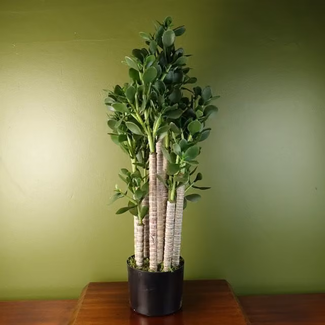 Leaf Artificial Deluxe Green Jade Potted Plant, Green, H 14.0 cm x W 14.0 cm x D 12.0 cm