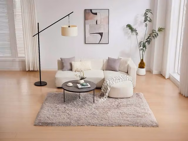 Vente-unique Ardelas Long Pile Shaggy Rug in Beige, W/D/H: 160 x 230 cm