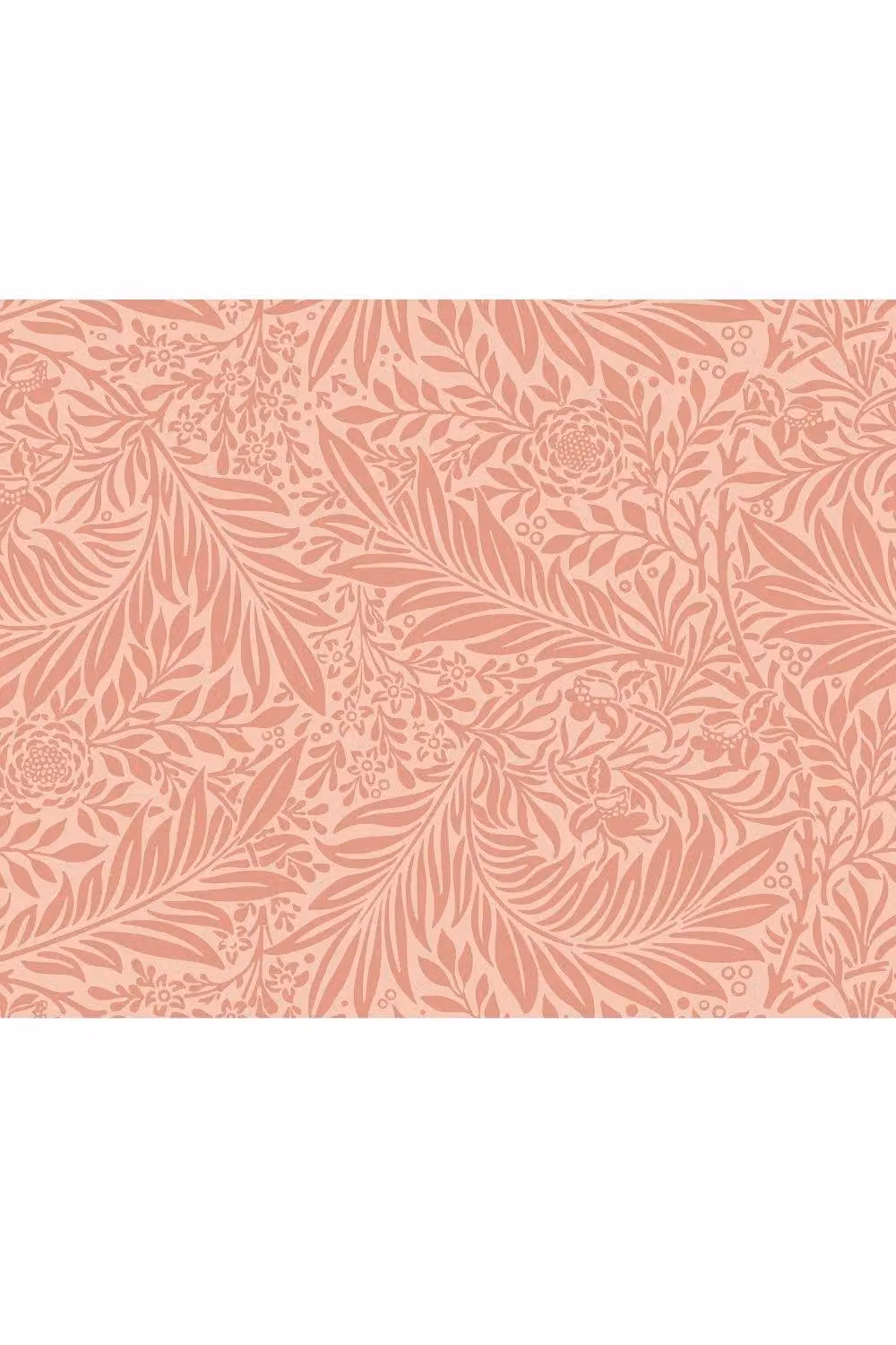 Origin Murals Trailing Ferns Floral Wall Mural in Coral, W: 350 cm, H: 280 cm – 2