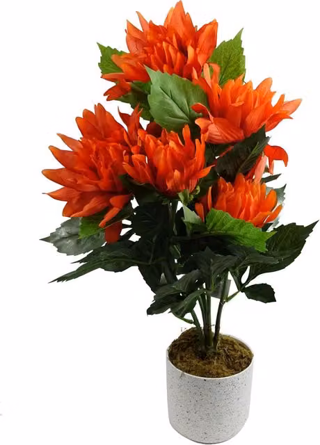 Leaf Design UK Red Dahlia Pinnata Artificial Potted Plant, Height: 55 cm – 1