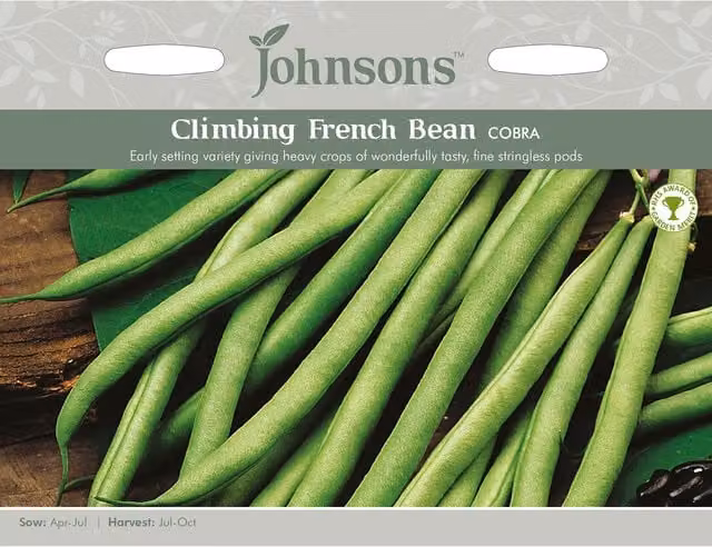 Johnsons Cobra Climbing French Bean Seeds, Purple and Green Variety