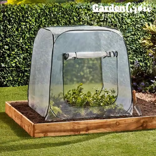 Clifford James Portable Pop-Up Garden Cloche Mini Greenhouse with Roll-Up Door, White and Transparent Plant Protection Cover for Vegetable, Herb and Ornamental Gardens – 2