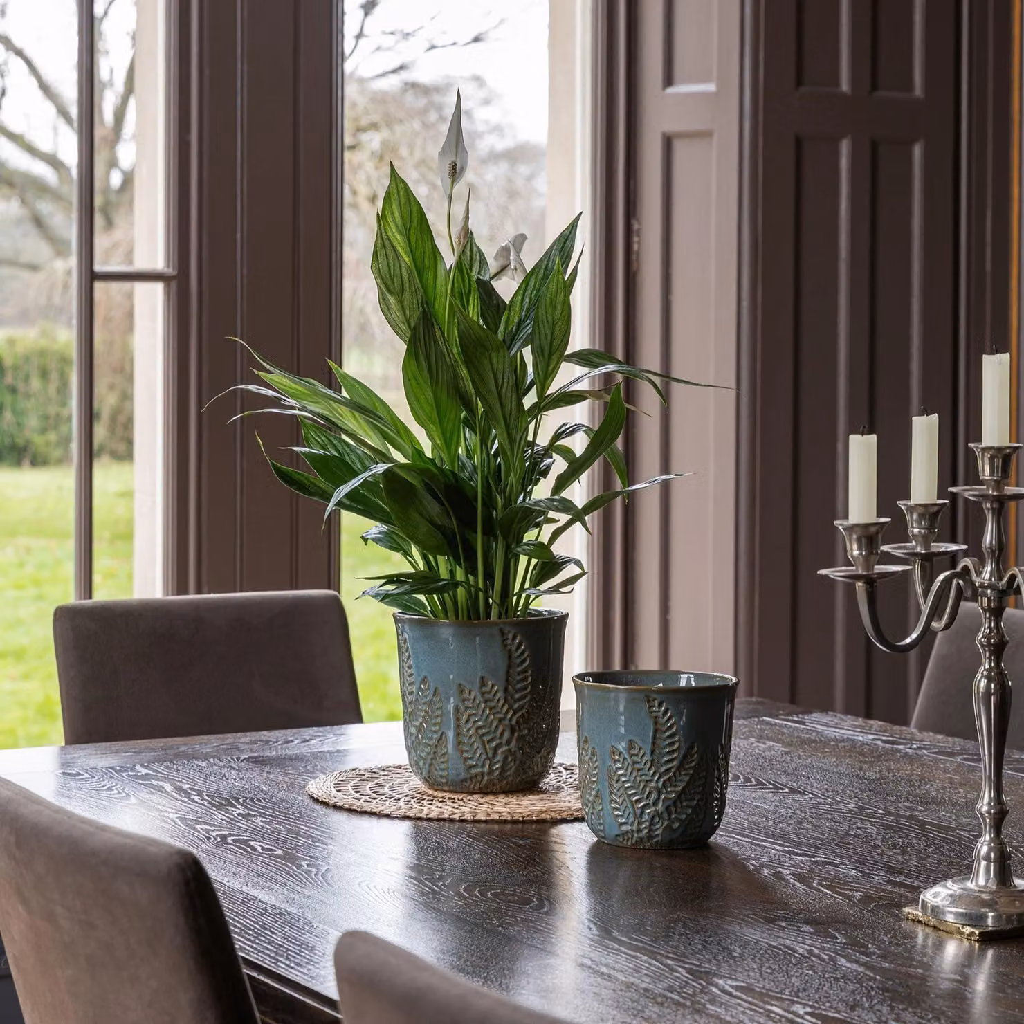 Royal Botanic Gardens Kew Embossed Fern Ceramic Tabletop Planter in Petrol, H: 21 cm, D: 23 cm – 4