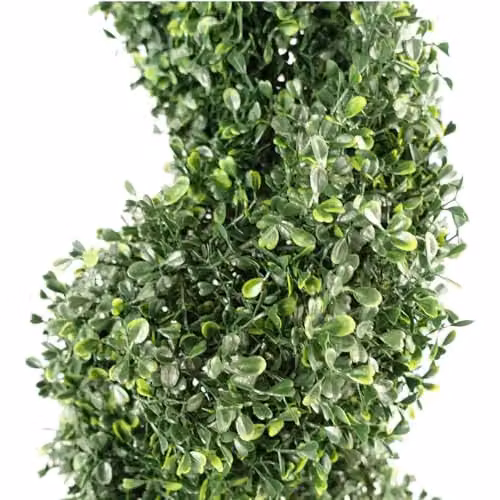 Botanik Green and Black UV Resistant Spiral Boxwood Topiary Tree – 2