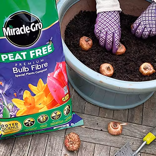 Miracle-Gro Premium Bulb Fibre Peat Free Compost, 20 Litre Bag, Purple – 4