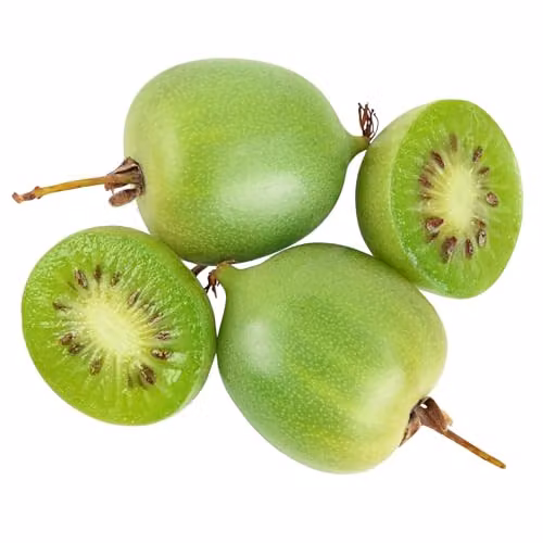 Thompson & Morgan Hardy Kiwi Geneva and Arguta Early-Blooming Sweet Fruit Plants, 3 x 15cm Potted Plants – 3