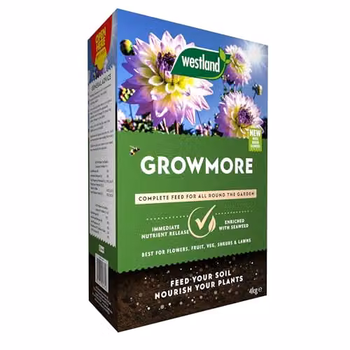 Westland Growmore All Purpose Plant Food Granulate, 4 kg – 2