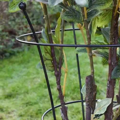 Thompson & Morgan Black Steel Peony Frame Outdoor Heavy Duty Herbaceous Garden Plant Support Rings, 2 Pack, W/D/H: 40 x 40 x 54 cm – 3