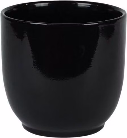 KDMD Glossy Black Ceramic Hortus Square Tabletop Pot, 2 Pack, W/D/H: 15.5 x 15.5 x 15 cm