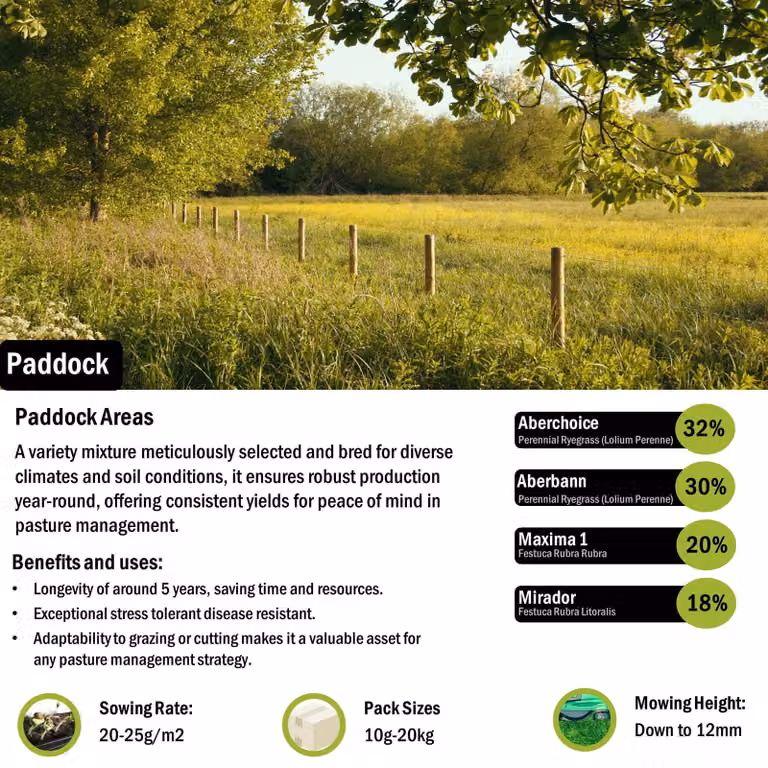 Pegdev PDL Resilient and Versatile High-Yielding Paddock Grass Seed, 50g