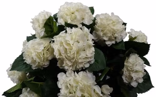 Leaf Design UK White Realistic Artificial Hydrangea Tabletop Blossom Tree – 4