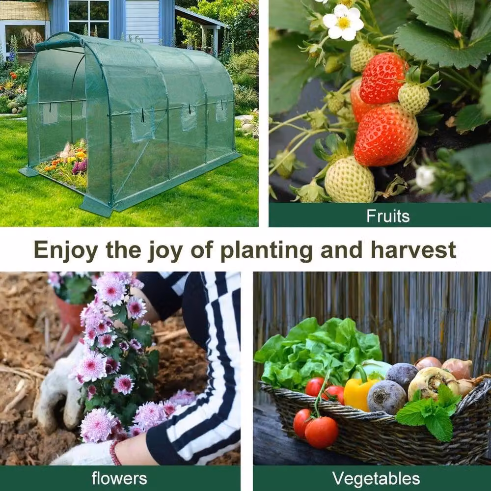 FLAVORA Reinforced Walk In Polytunnel Outdoor Garden Greenhouse with Window, Green, W/D/H: 3 x 2 x 2 m – 3