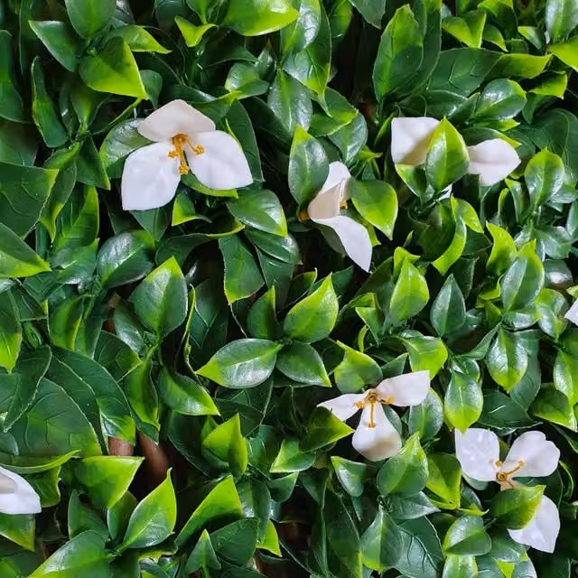 True Products Premium Expanding Artificial Laurel White Flower on Woven Willow Trellis, Green and White