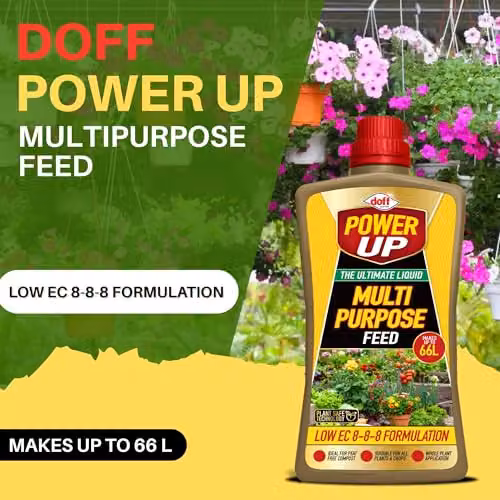 Doff Power Up Multi Purpose Liquid Plant Food, NPK 8-8-8 Balanced Fertiliser, 1000 ml – 3