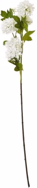 Hill Interiors Snowball Viburnum Artificial Flower Spray in Cream and White