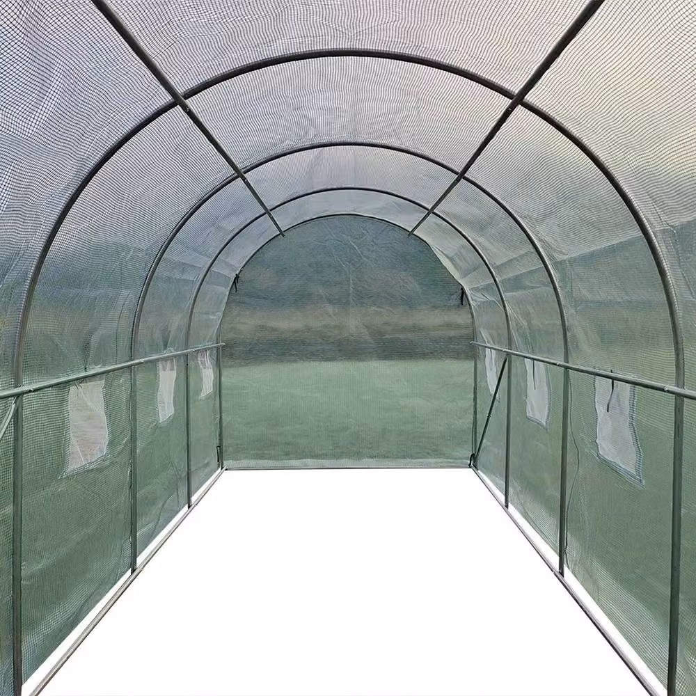 FLAVORA Reinforced Walk In Polytunnel Outdoor Garden Greenhouse in Green, W/D/H: 4 x 3 x 2 m – 2