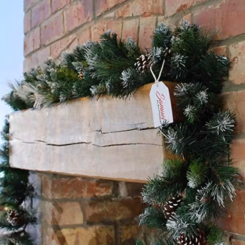 Samuel ALEXANDER Frosted Glacier Christmas Garland with Pine Cones in Green, W: 270 cm, D: 25 cm – 2