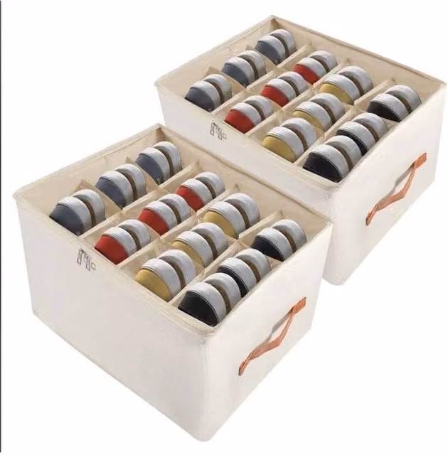 PAWNORA Foldable Shoe Storage Boxes, 2 Piece Set, White