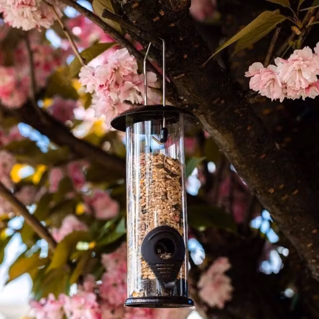 Garden Mile Green Metal Hanging Seed Bird Feeder