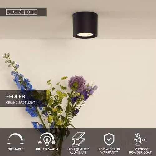 Lucide FEDLER Dimmable Surface Mounted LED Ceiling Spotlight in Black, Diameter: 12 cm – 2