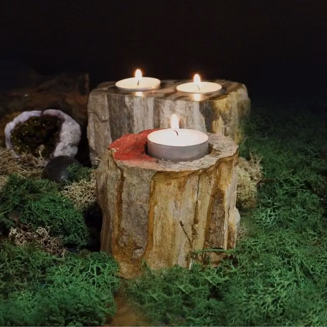 KDMK Petrified Wood Double Tealight Candle Holder, Brown Stone Minimalist Tabletop Decor