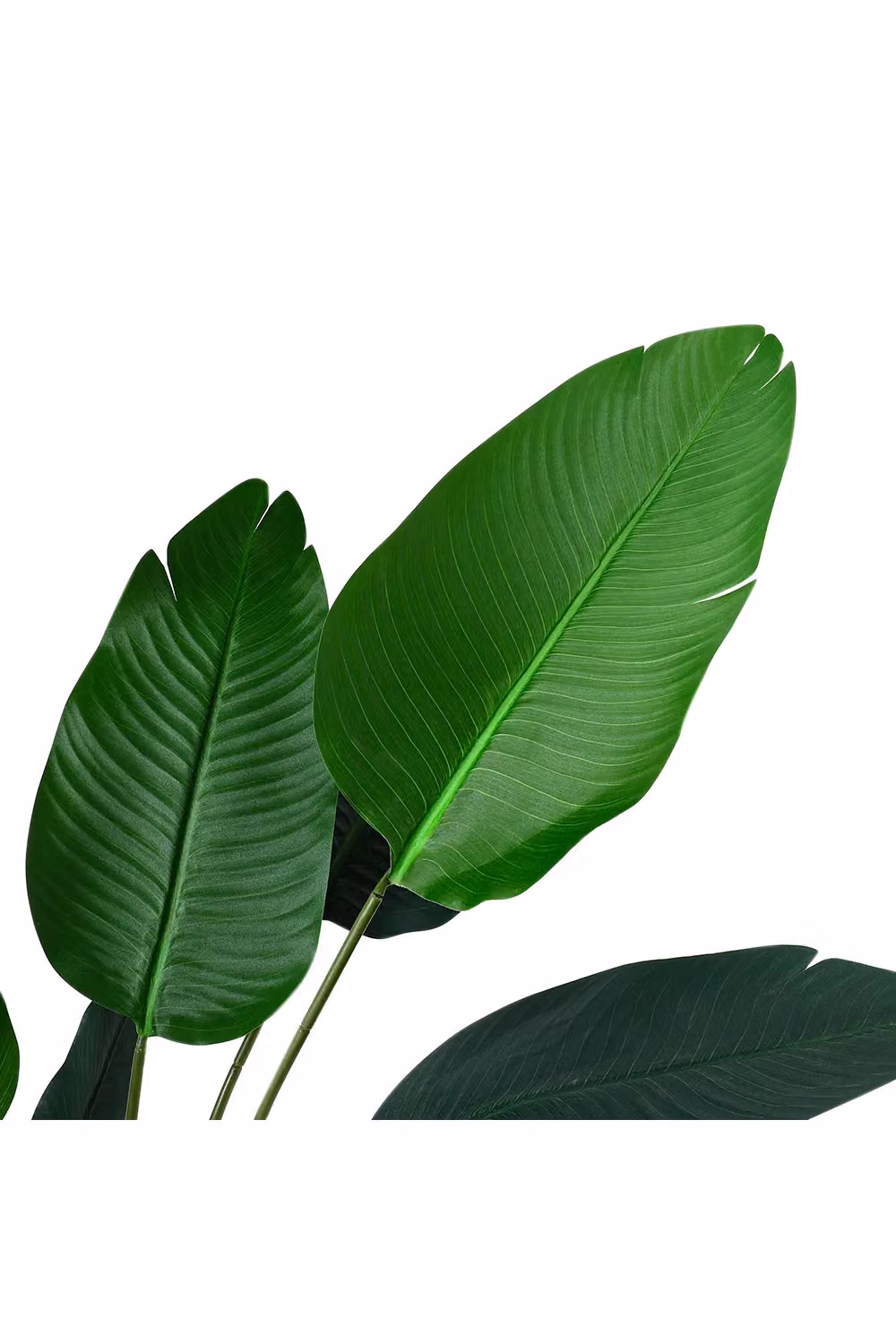 Living and Home 1.8m Artificial Traveller's Palm Tree in Green – 3