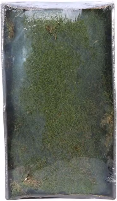 KDMD Preserved Green Moss with Tray, 500g