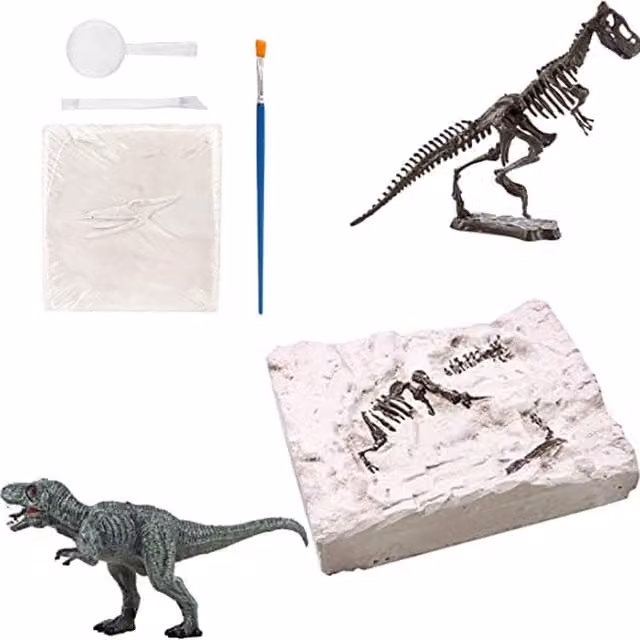 UMKYTOYS Dinosaur Fossil Excavation Realistic Model Kit for Kids, White and Multicolour