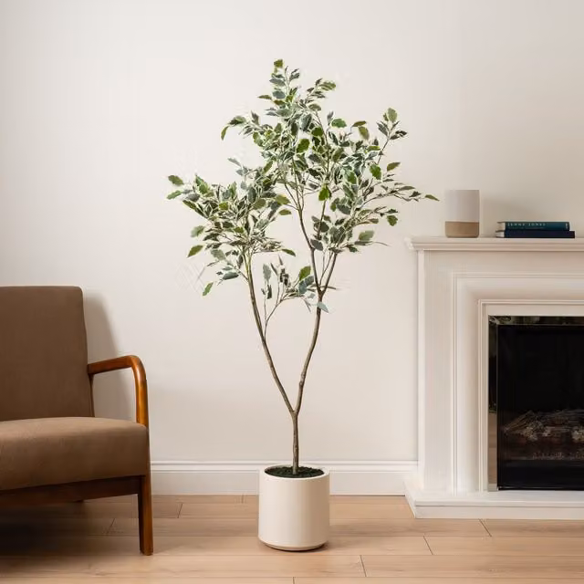 Scottish Everlastings Ltd 150cm Real Touch Ficus Tree in Green