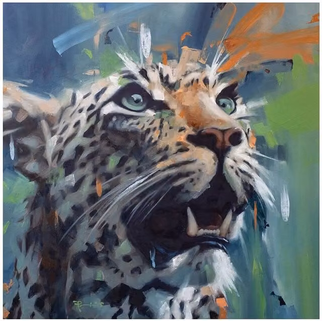Frank Pretorius Leopard Print Paper Poster in Blue and Multicolour