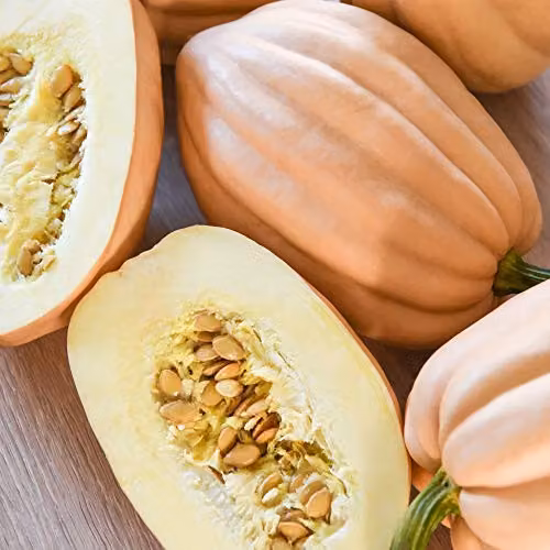 Thompson and Morgan Squash Baked Potato Half Hardy Acorn Squash Cucurbita Pepo Seeds, 12 Seeds per Packet – 2