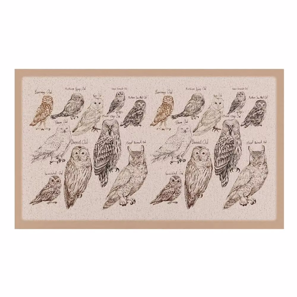 Artsy Mats Vintage Owls Indoor and Outdoor Doormat, Beige, W/D/H: 70 x 40 cm – 2
