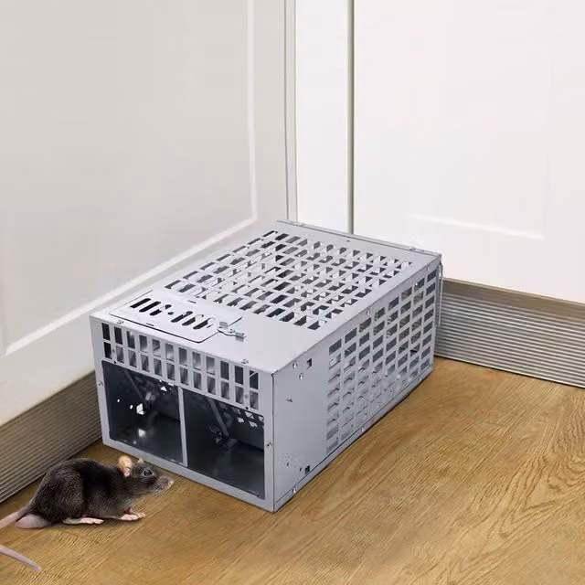 Livingandhome Dual-Door Galvanised Steel Humane Mouse Trap - Silver