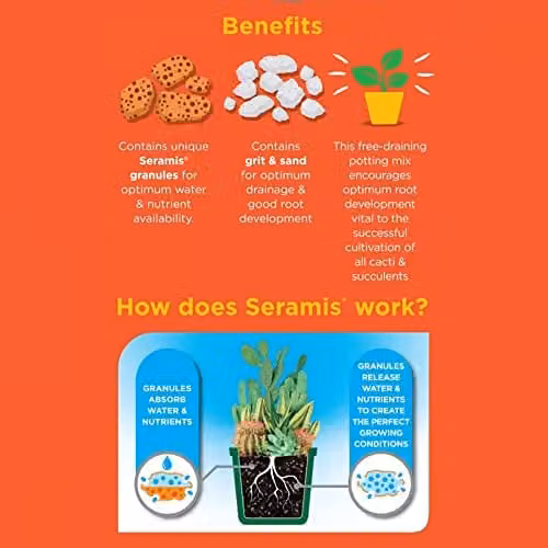Westland Peat Free Cacti and Succulent Potting Compost Mix 4L – 2