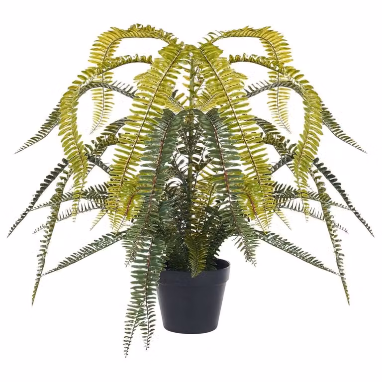 Wyld and Coco Lifelike Evergreen Potted Fern in Green with Concrete Base, Height: 105 cm