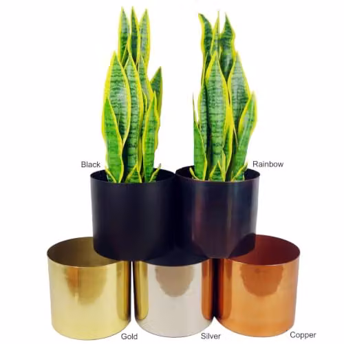 Leaf Design UK Leaf Modern Metal Tabletop Planter in Black – 2