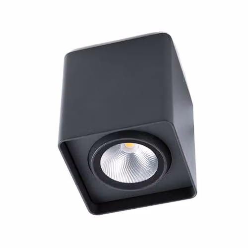 Netlighting Tami LED Outdoor Surface Mounted Ceiling Light in Dark Grey with Transparent Glass Diffuser, IP54 Rated – 1
