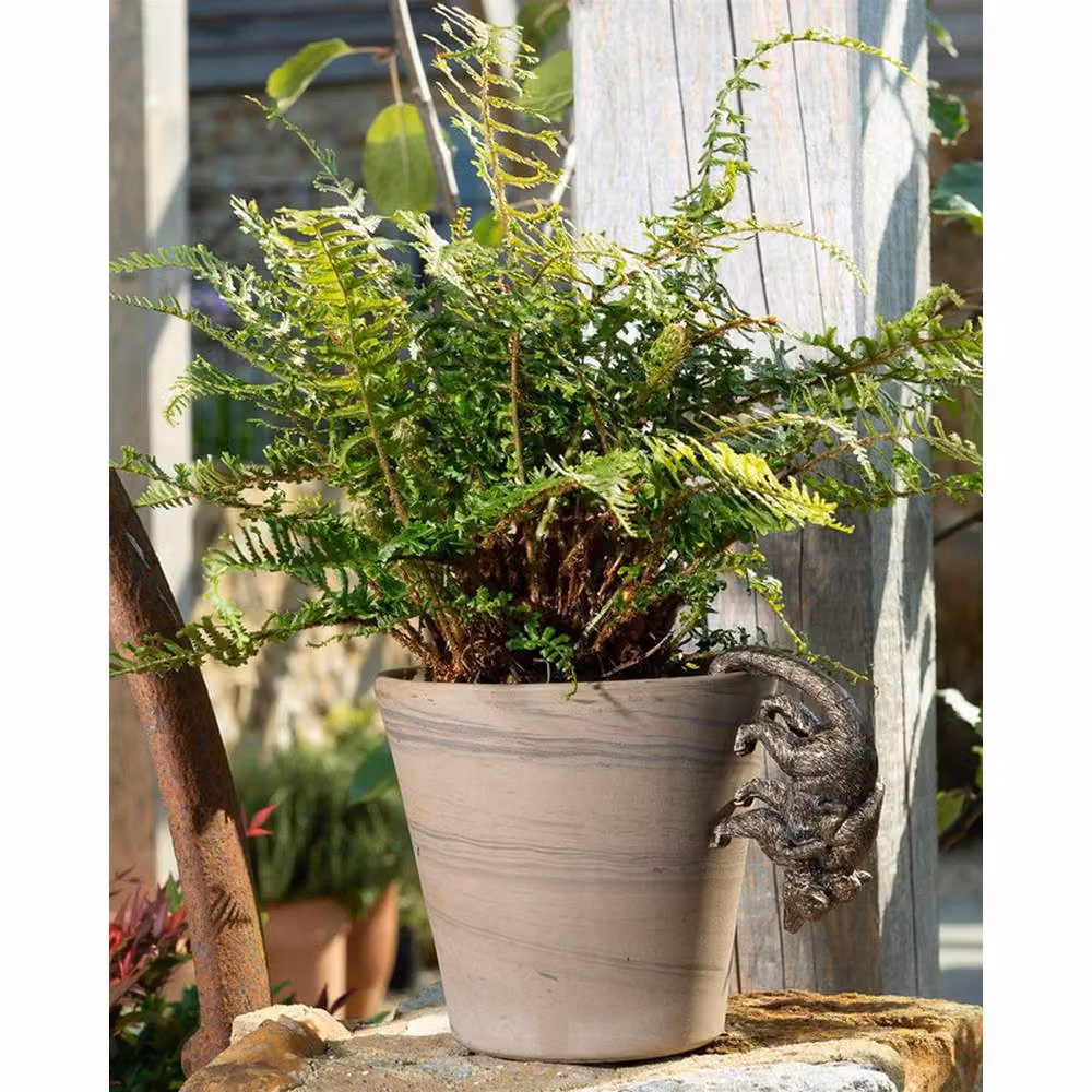 Jardinopia Lemur and Pup Hanging Plant Pot Hanger in Bronze – 6