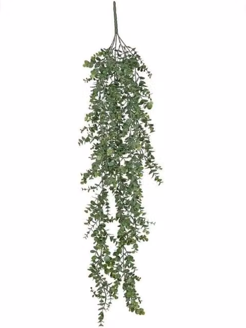 KDMD Botanica Eucalyptus Hanging Bush, Green, Height: 105 cm